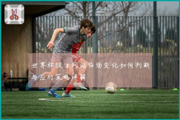 世界杯投注网站临场变化如何判断与应对策略详解