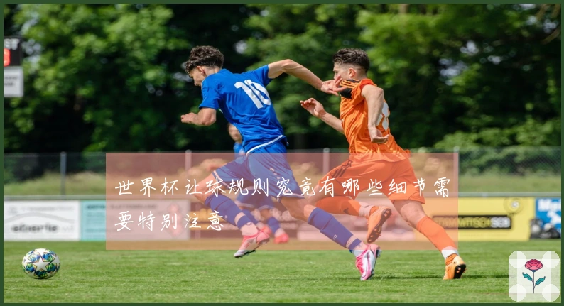 世界杯让球规则究竟有哪些细节需要特别注意