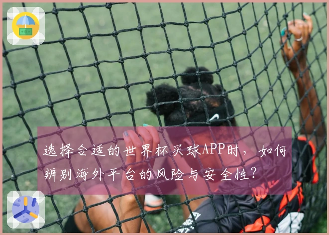 选择合适的世界杯买球APP时，如何辨别海外平台的风险与安全性？