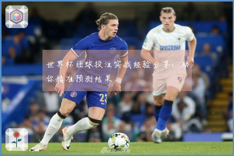 世界杯让球投注实战经验分享，助你精准预测结果
