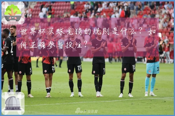 世界杯买球竞猜的规则是什么？如何正确参与投注？