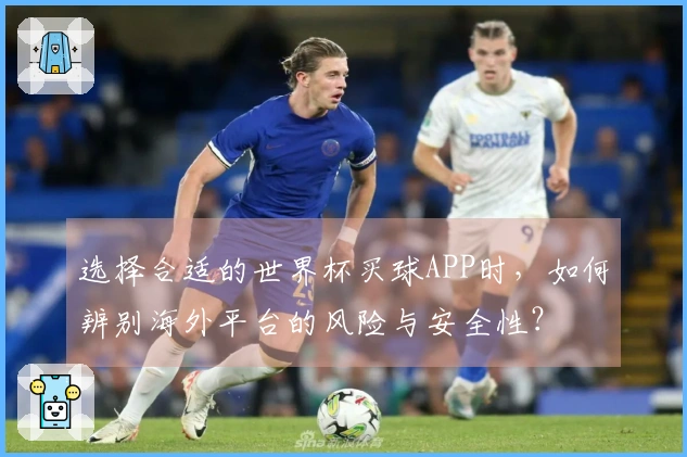 选择合适的世界杯买球APP时,如何辨别海外平台的风险与安全性?